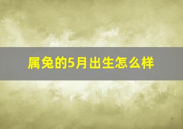 属兔的5月出生怎么样