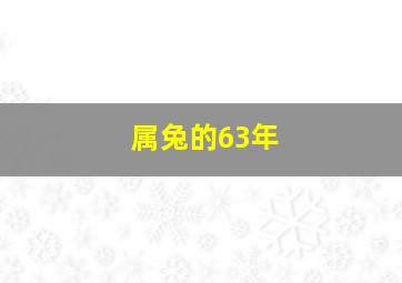 属兔的63年