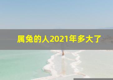 属兔的人2021年多大了