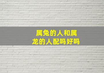 属兔的人和属龙的人配吗好吗