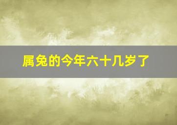 属兔的今年六十几岁了