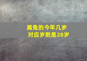 属兔的今年几岁对应岁数是28岁