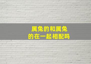 属兔的和属兔的在一起相配吗