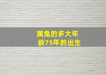 属兔的多大年龄75年的出生