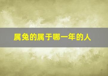 属兔的属于哪一年的人