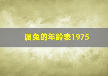 属兔的年龄表1975