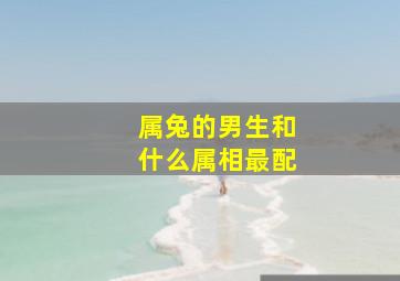 属兔的男生和什么属相最配