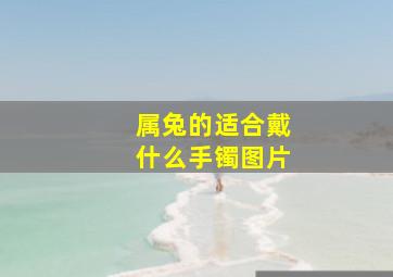 属兔的适合戴什么手镯图片