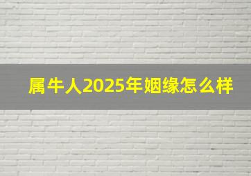 属牛人2025年姻缘怎么样