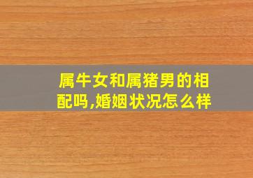 属牛女和属猪男的相配吗,婚姻状况怎么样