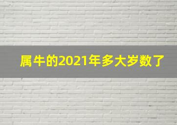 属牛的2021年多大岁数了