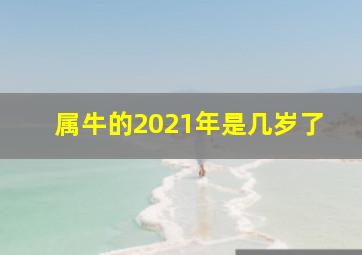 属牛的2021年是几岁了