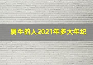 属牛的人2021年多大年纪