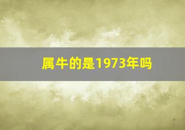 属牛的是1973年吗