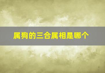 属狗的三合属相是哪个