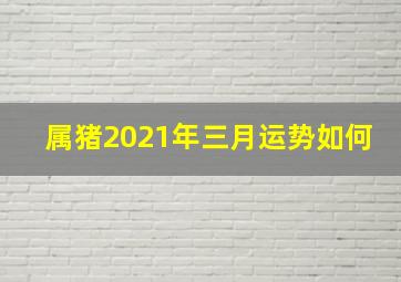 属猪2021年三月运势如何