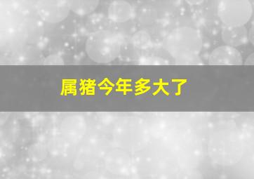 属猪今年多大了