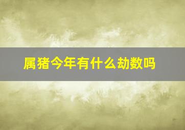 属猪今年有什么劫数吗