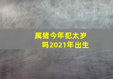 属猪今年犯太岁吗2021年出生