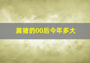 属猪的00后今年多大