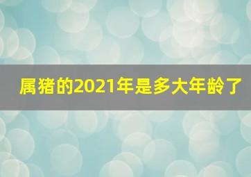 属猪的2021年是多大年龄了