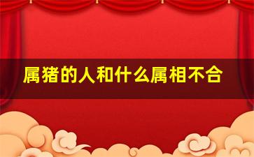 属猪的人和什么属相不合