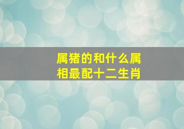 属猪的和什么属相最配十二生肖