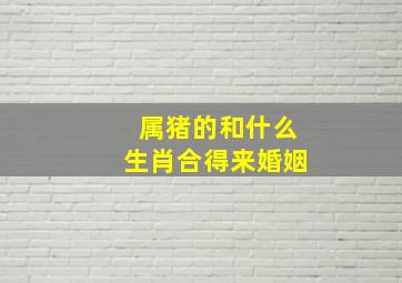 属猪的和什么生肖合得来婚姻