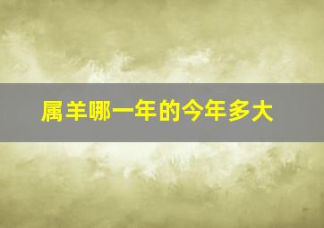 属羊哪一年的今年多大