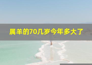 属羊的70几岁今年多大了