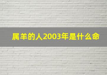 属羊的人2003年是什么命