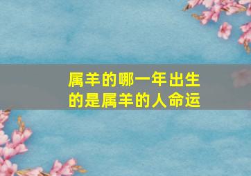 属羊的哪一年出生的是属羊的人命运