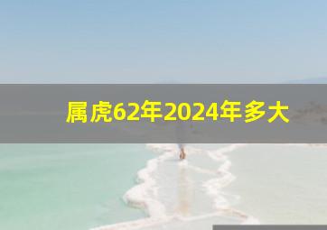 属虎62年2024年多大