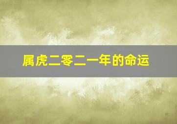 属虎二零二一年的命运