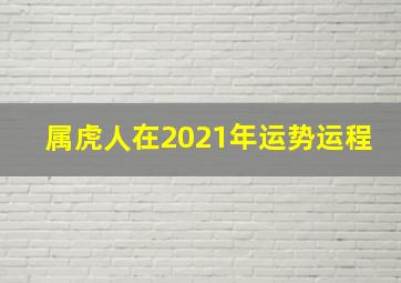 属虎人在2021年运势运程