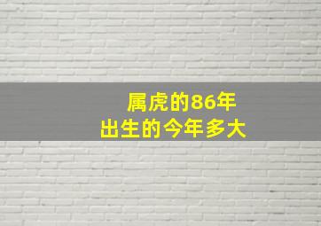 属虎的86年出生的今年多大