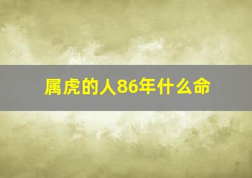 属虎的人86年什么命