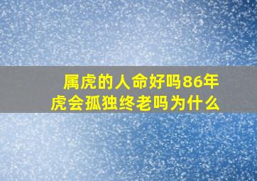 属虎的人命好吗86年虎会孤独终老吗为什么