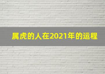 属虎的人在2021年的运程