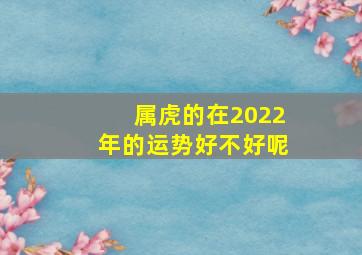 属虎的在2022年的运势好不好呢