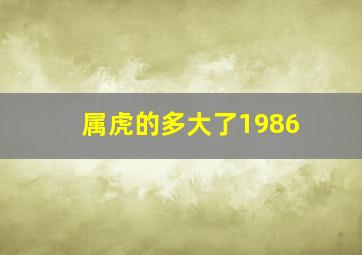 属虎的多大了1986