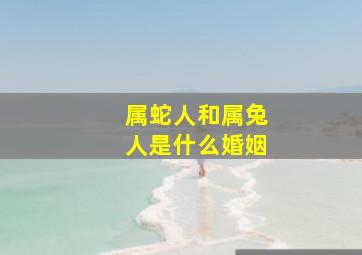 属蛇人和属兔人是什么婚姻