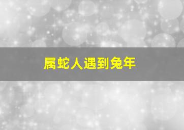 属蛇人遇到兔年