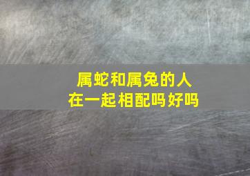 属蛇和属兔的人在一起相配吗好吗