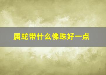 属蛇带什么佛珠好一点