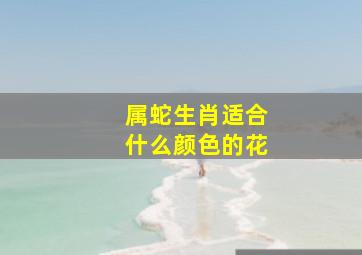 属蛇生肖适合什么颜色的花