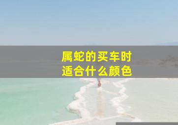 属蛇的买车时适合什么颜色