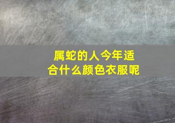 属蛇的人今年适合什么颜色衣服呢