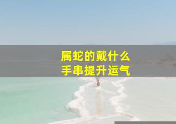 属蛇的戴什么手串提升运气