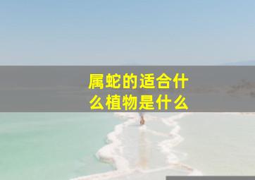 属蛇的适合什么植物是什么